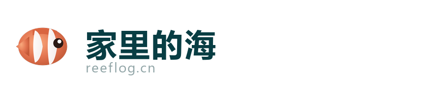 家里的海 · reeflog.cn