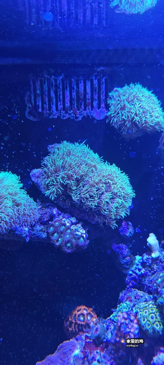 活石造景实拍